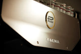 Faema President Thermosifonic 2/3 Group